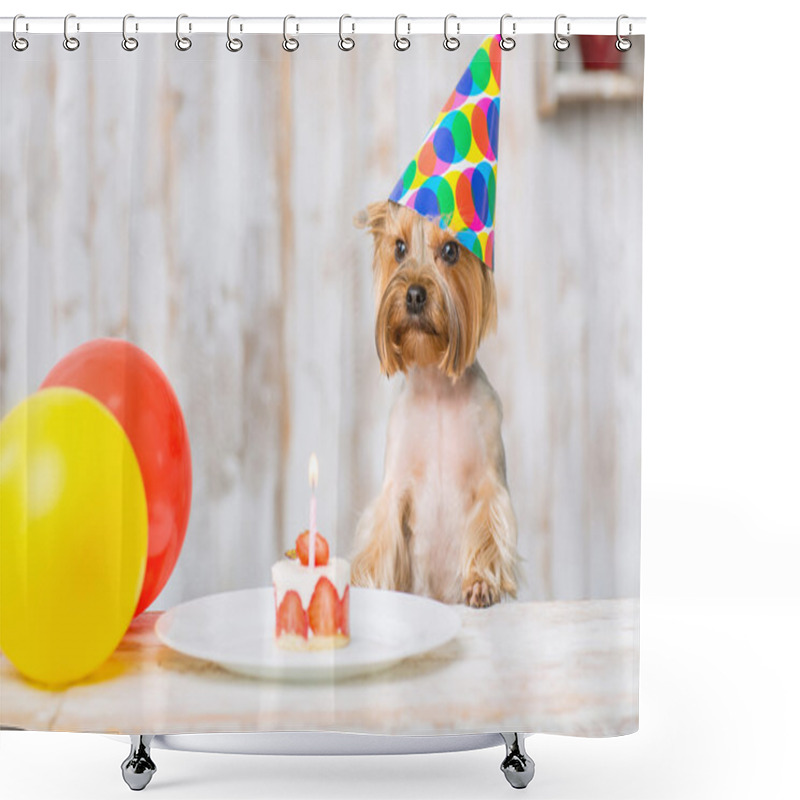 Personality  Yorkshire Terrier In Front Of Birthday Cake. Shower Curtains