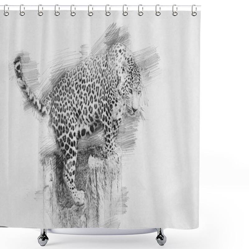 Personality  Leopard. Sketch With Pencil Shower Curtains