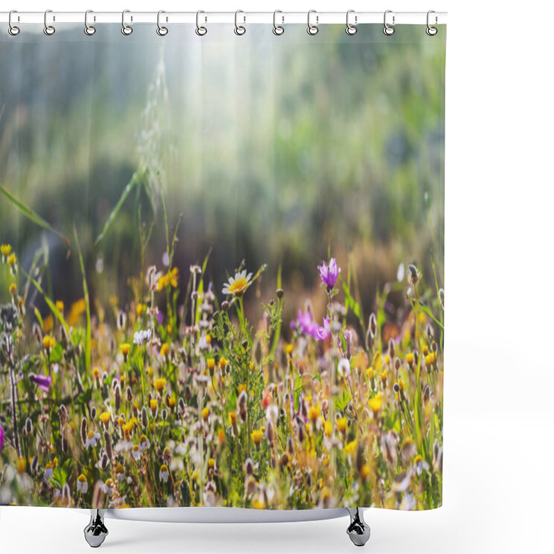 Personality  Sunny Day On The Flowers Meadow. Beautiful Natural Background. Shower Curtains