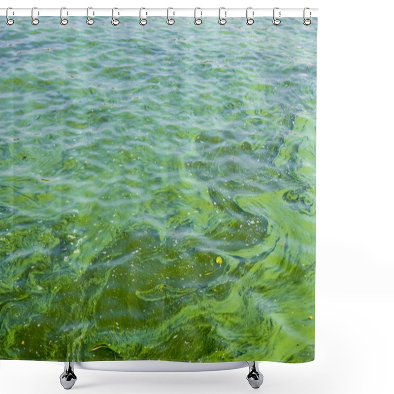 Personality  Environmental Disaster. Green Water In The River Due To Heat And Algae Bloom. Shower Curtains