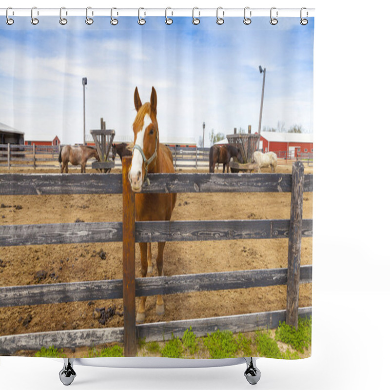 Personality  Horse Shower Curtains