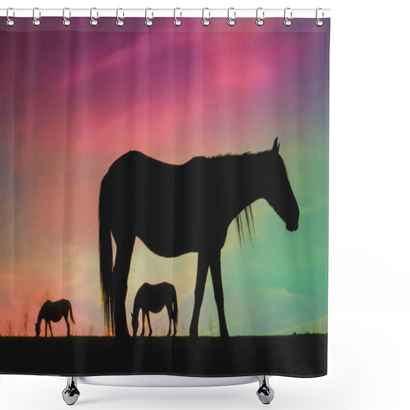 Personality              Horse Silhouette In The Countryside And Beautiful Sunset Background                     Shower Curtains