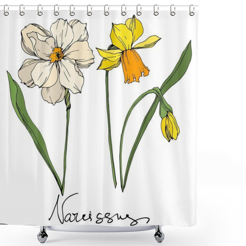 Personality  Vector Narcissus Floral Botanical Flowers. Black And White Engraved Ink Art. Isolated Narcissus Illustration Element. Shower Curtains