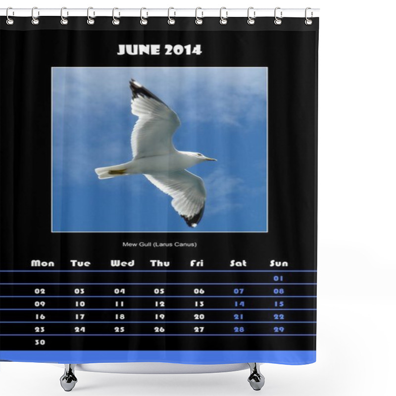 Personality  Bird Calendar For 2014 - June Shower Curtains