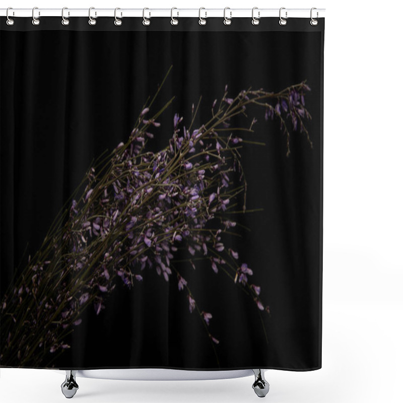 Personality  Violet Wildflowers On Branches Isolated On Black Shower Curtains