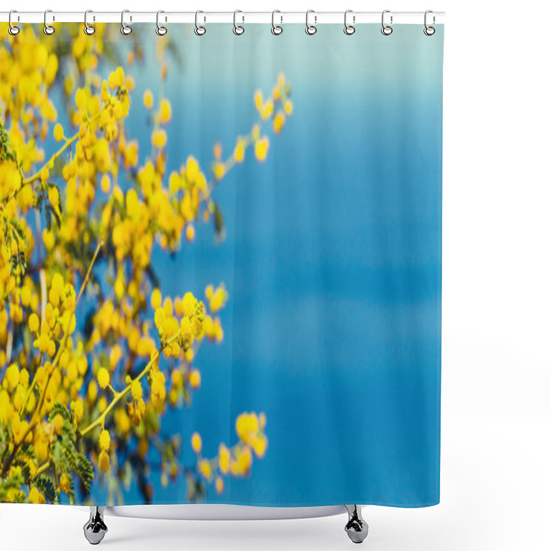 Personality  Mimosa Branch With Yellow Flowers  Shower Curtains