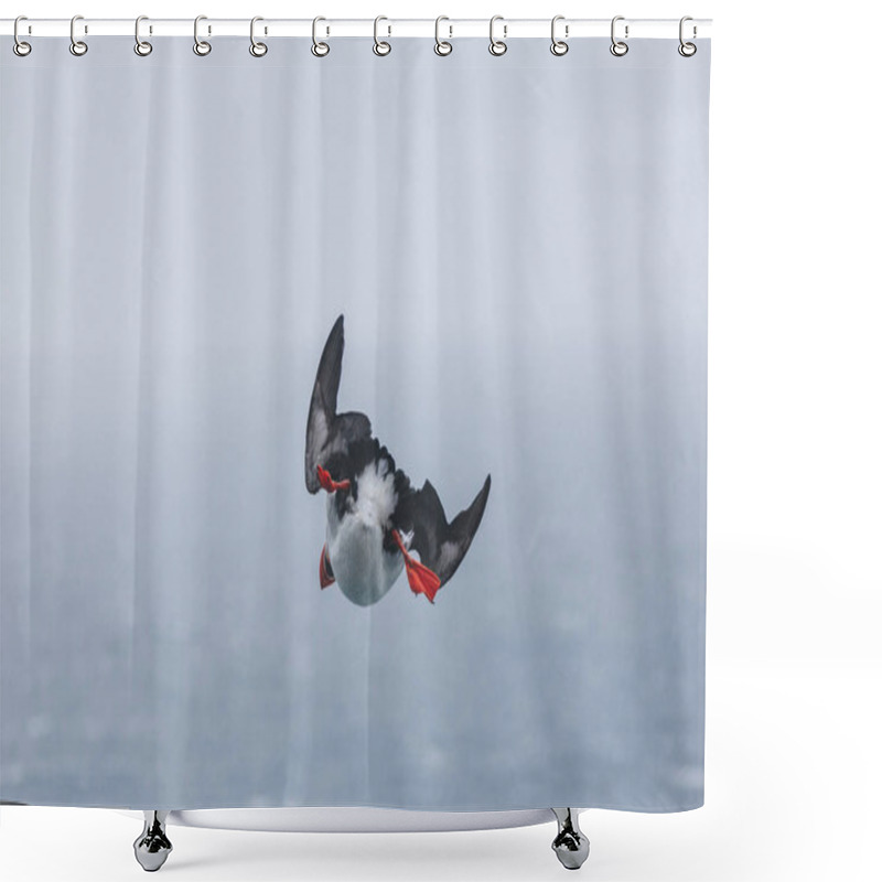 Personality  Flying Shower Curtains