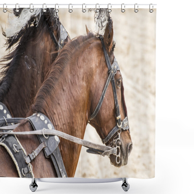 Personality  Roman Chariot In A Fight Of Gladiators Shower Curtains