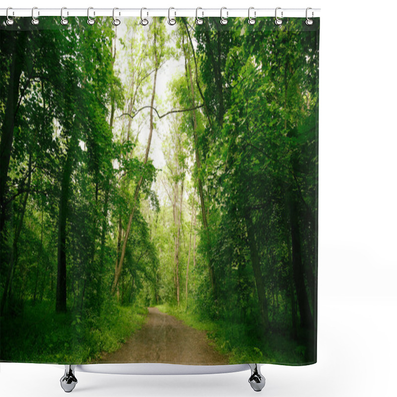 Personality  Path In Green Forest Shower Curtains