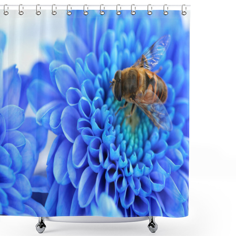 Personality  Bee On Blue Aster Shower Curtains