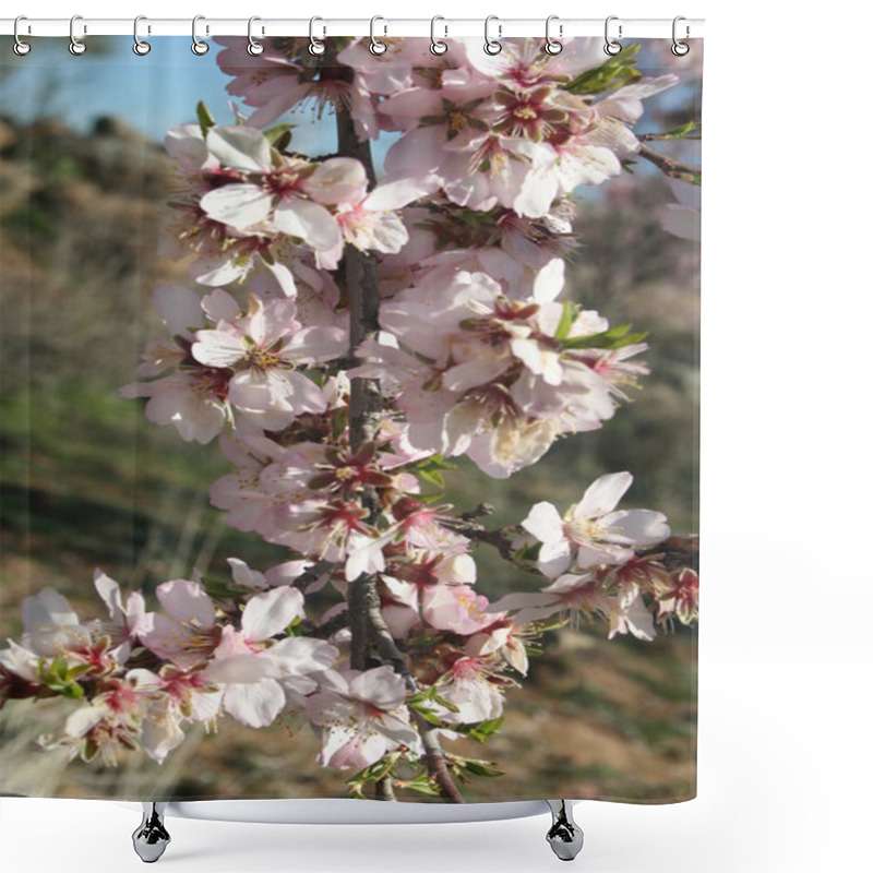 Personality  Almond Blossom, Flourished, Shower Curtains