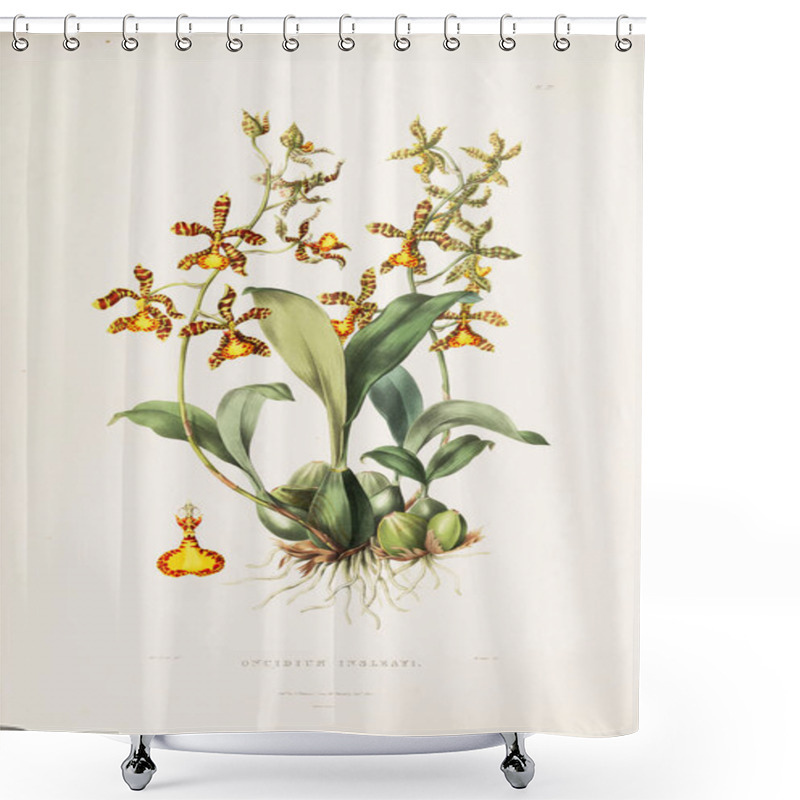 Personality  Illustration Of Flower. Old Image Shower Curtains