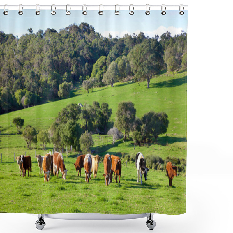 Personality  Australian Cattle Farm Shower Curtains