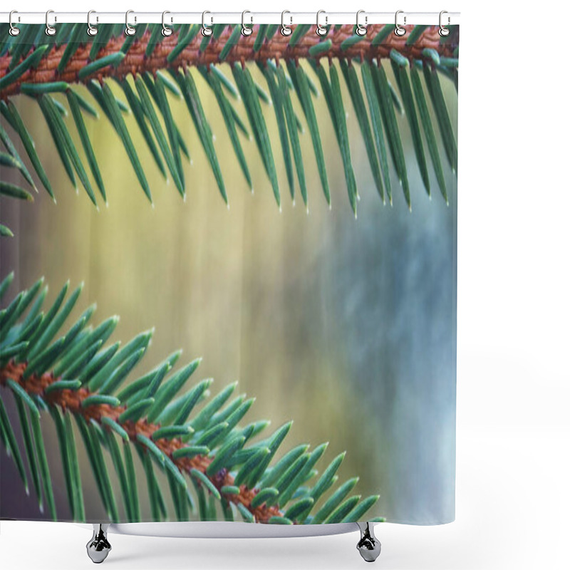 Personality  Close-up Of Coniferous Branches On A Blurred Background Of Nature. Tenderness In Nature Shower Curtains