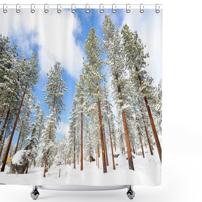 Personality  Tree On Mountain In Lake Tahoe Beach Shower Curtains