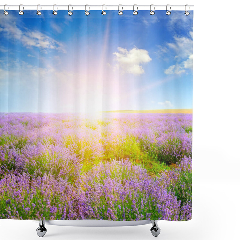 Personality  Beautiful Lavender Field At Sunset. Agricultural Landscape. Shower Curtains