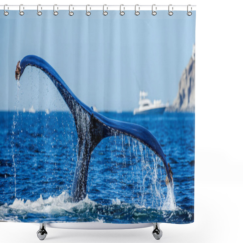 Personality  Tail Of Humpback Whale Shower Curtains