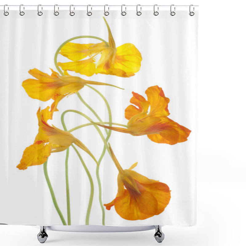 Personality  Nasturtium Shower Curtains