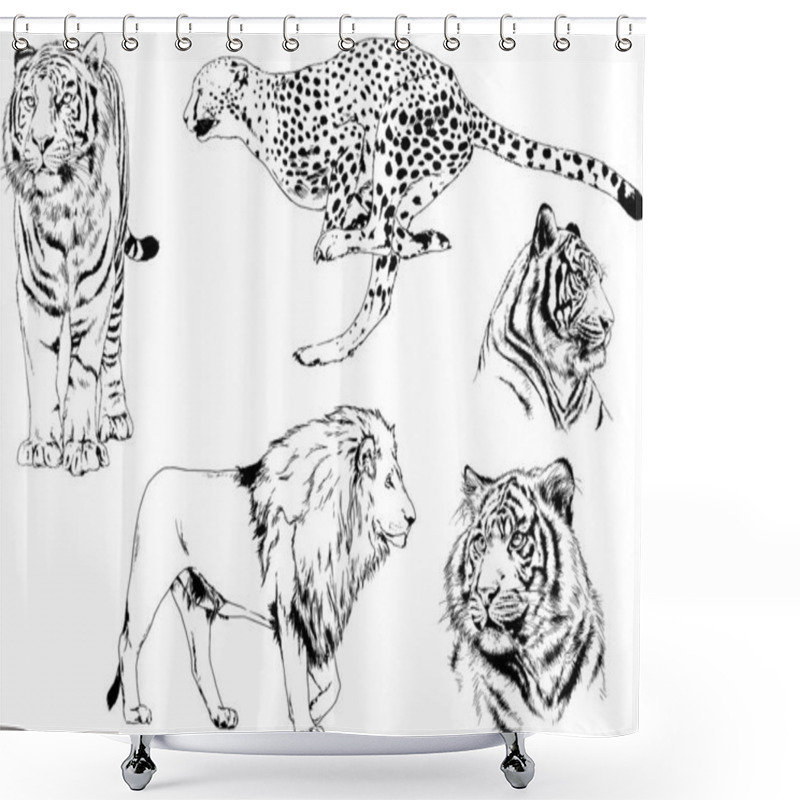 Personality  Set Of Vector Drawings On The Theme Of Predators Tigers Are Drawn By Hand With Ink Tattoo Logos Shower Curtains