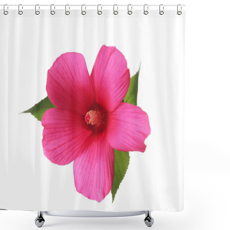 Personality  Beautiful Tropical Hibiscus Flower On White Background Shower Curtains