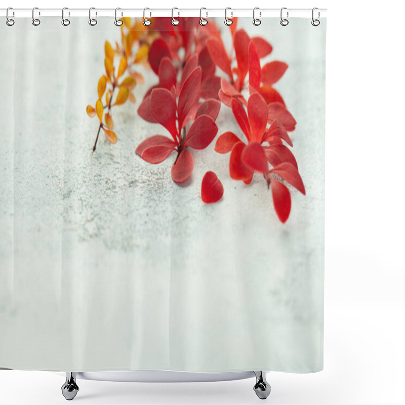 Personality  Autumn Branches With Red Fall Leaves On White Stucco Background Shower Curtains