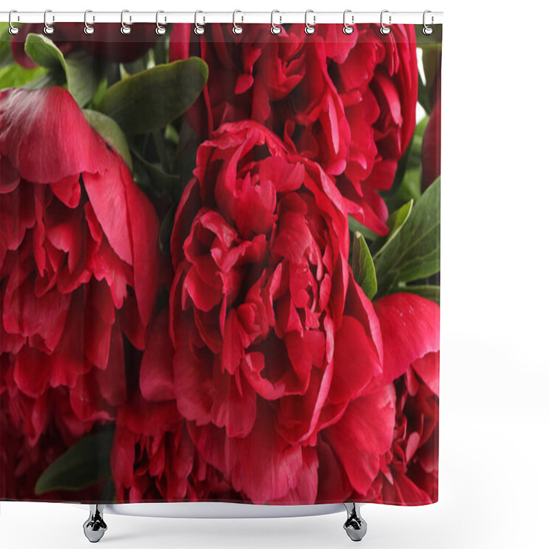 Personality  Beautiful Red Peonies As Background, Closeup View Shower Curtains