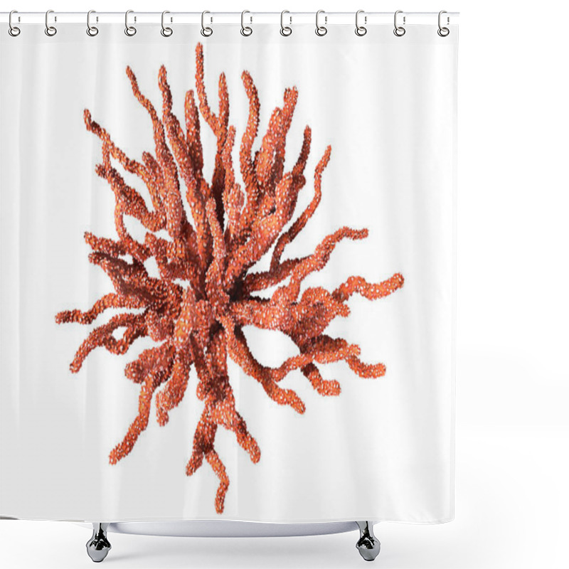 Personality  3D Rendering Of A Red Coral, A  Marine Invertebrate Isolated On White Background Shower Curtains