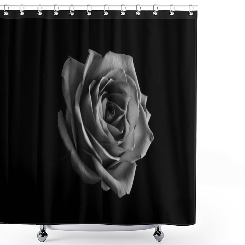 Personality  Roses Blossom In Black And White. Close Up Shower Curtains