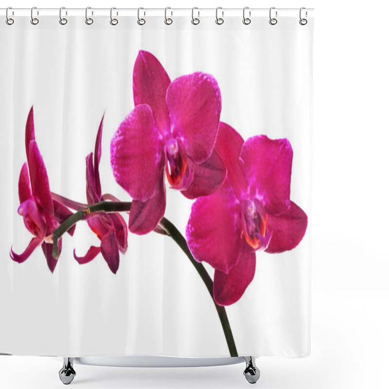 Personality  Isolated On White Branch With Four Red Orchids Shower Curtains