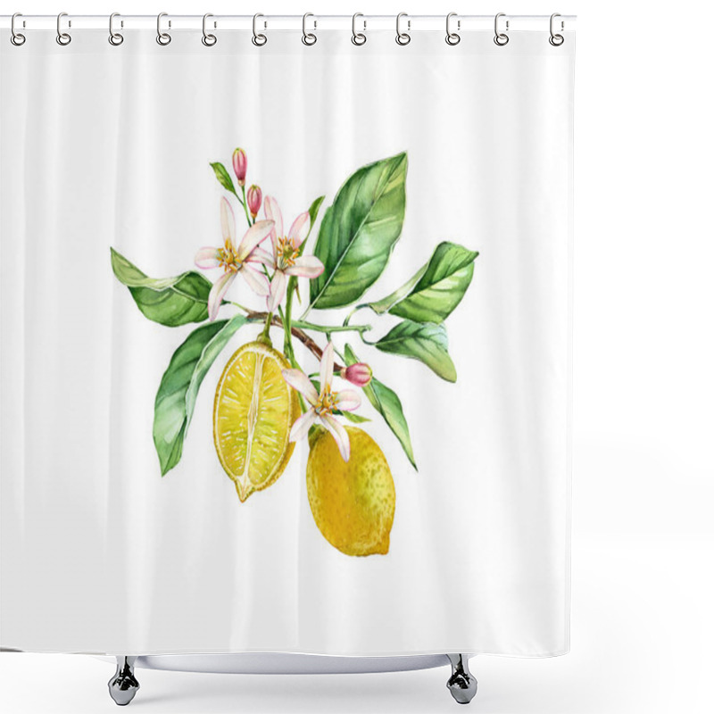 Personality  Watercolor Lemon Tree. Realistic Branch With Two Fruits, Flowers, Leaves. Botanical Illustration. Isolated Artwork On White. Hand Drawn Fresh Tropical Food Shower Curtains