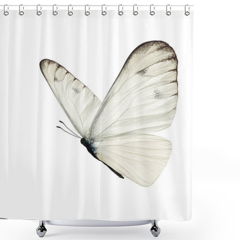 Personality  Beautiful White Butterfly Shower Curtains