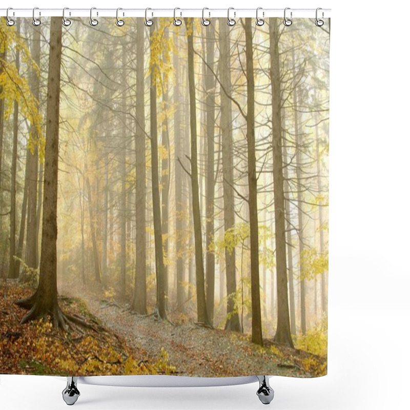 Personality  Picturesque Forest In The Fog Shower Curtains