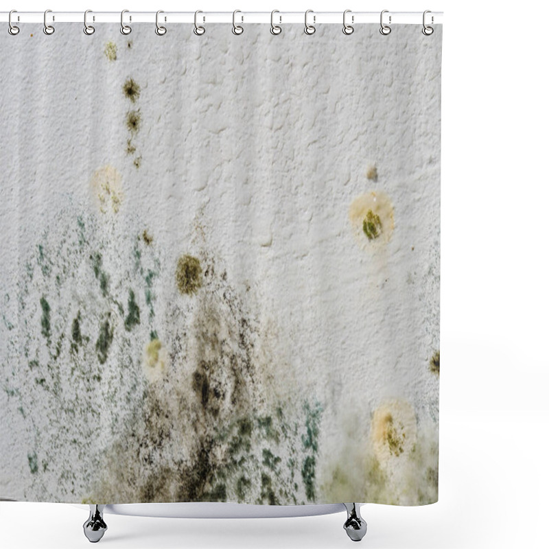 Personality  Mould And Fungus On Wall. Problem Of Ventilation, Dampness, Cold Indoors In Home. Shower Curtains