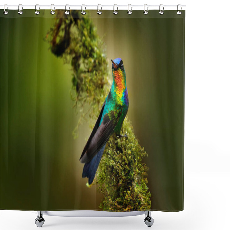 Personality  Fiery Throated Hummingbird   Shower Curtains