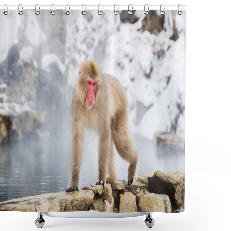 Personality  Japanese Macaque Or Snow Monkey In Hot Spring Shower Curtains