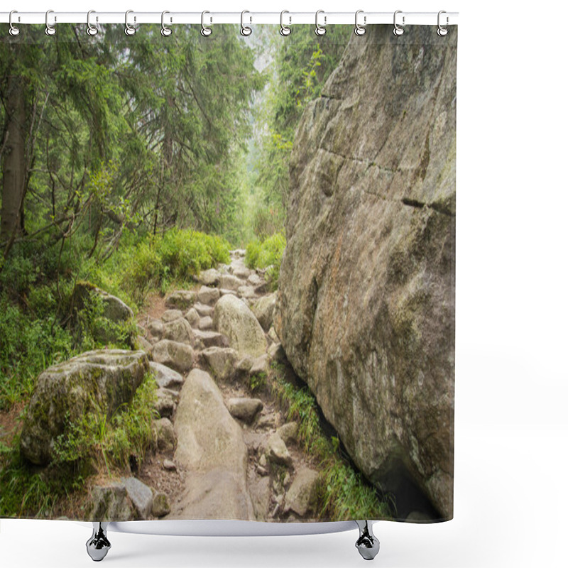 Personality  Hiking Trail In Forest Shower Curtains