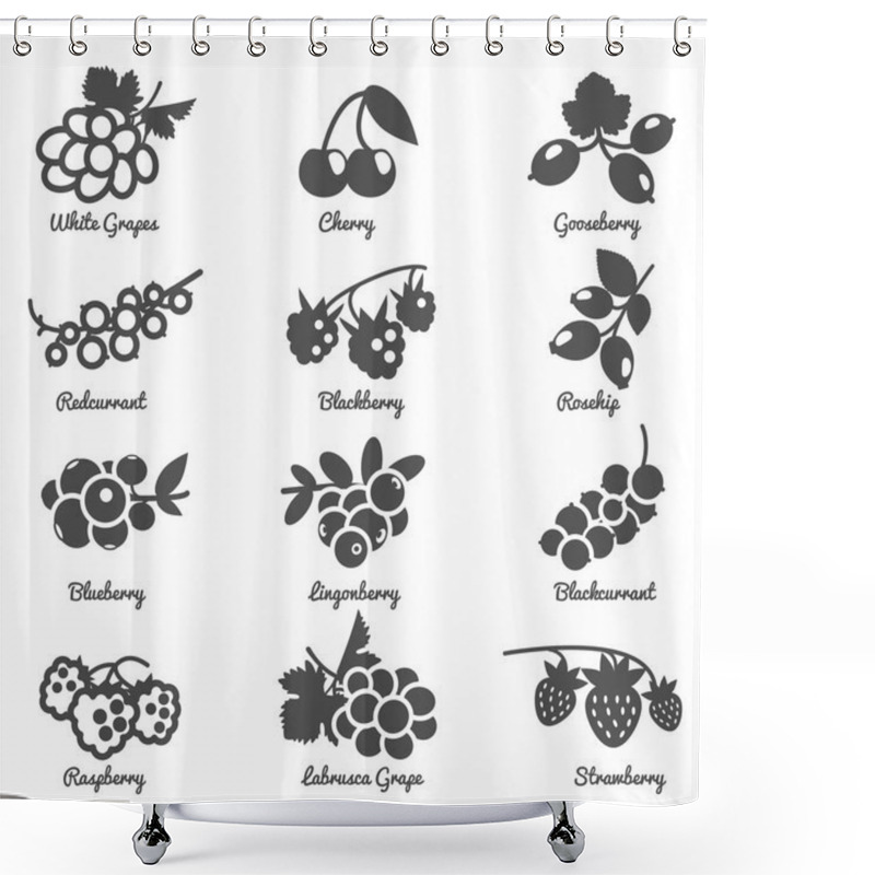 Personality  Berries Flat Icons Set Shower Curtains