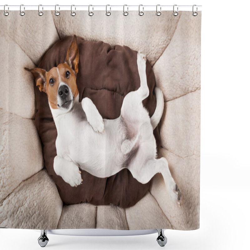 Personality  Dog Sleeping Or Resting Shower Curtains