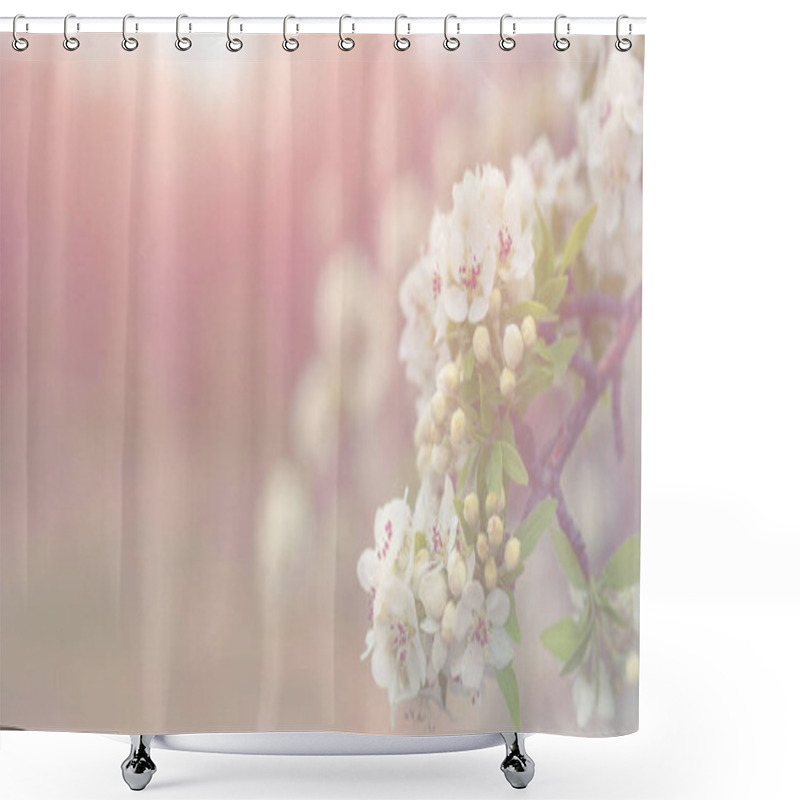 Personality  Spring Background With Blossom. Beautiful Nature Scene With Blooming Tree. Easter. Spring Flowers. Beautiful Orchard. Abstract Blurred Background. Shower Curtains