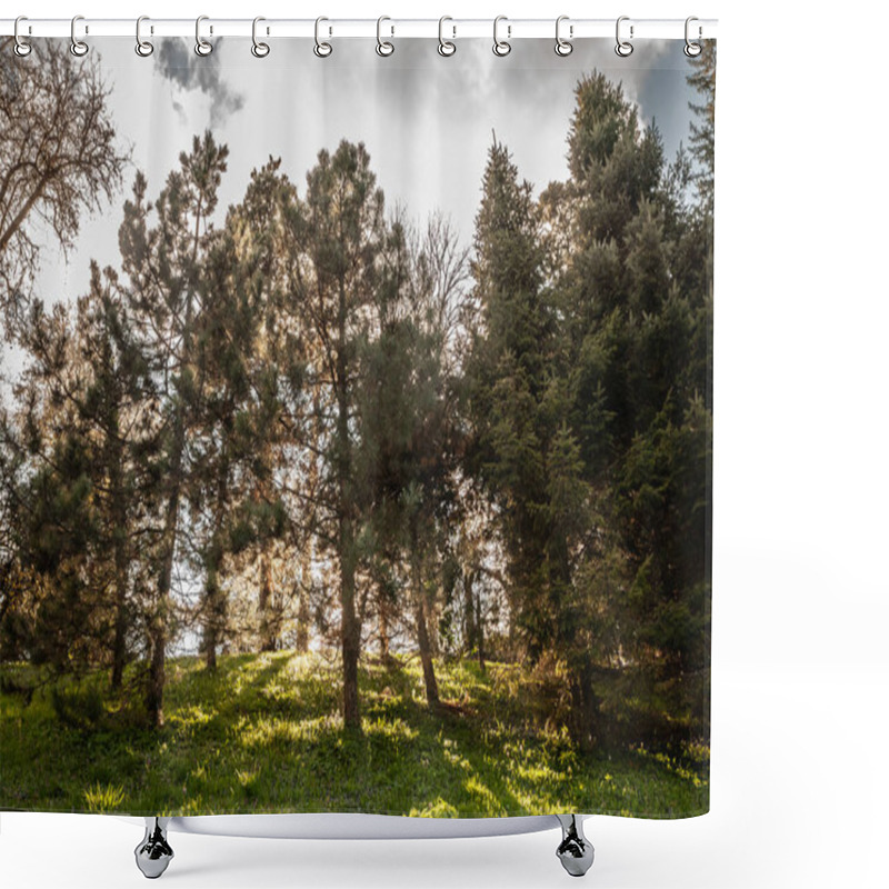 Personality  Pine Trees (or Fir Trees) Silhouetted Against The Light At Sunrise. The Image Captures The Natural Beauty Of Pine Forests And The Serene Atmosphere Of The Early Morning In Serbia. Shower Curtains